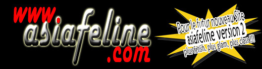 Old site de Asia Feline